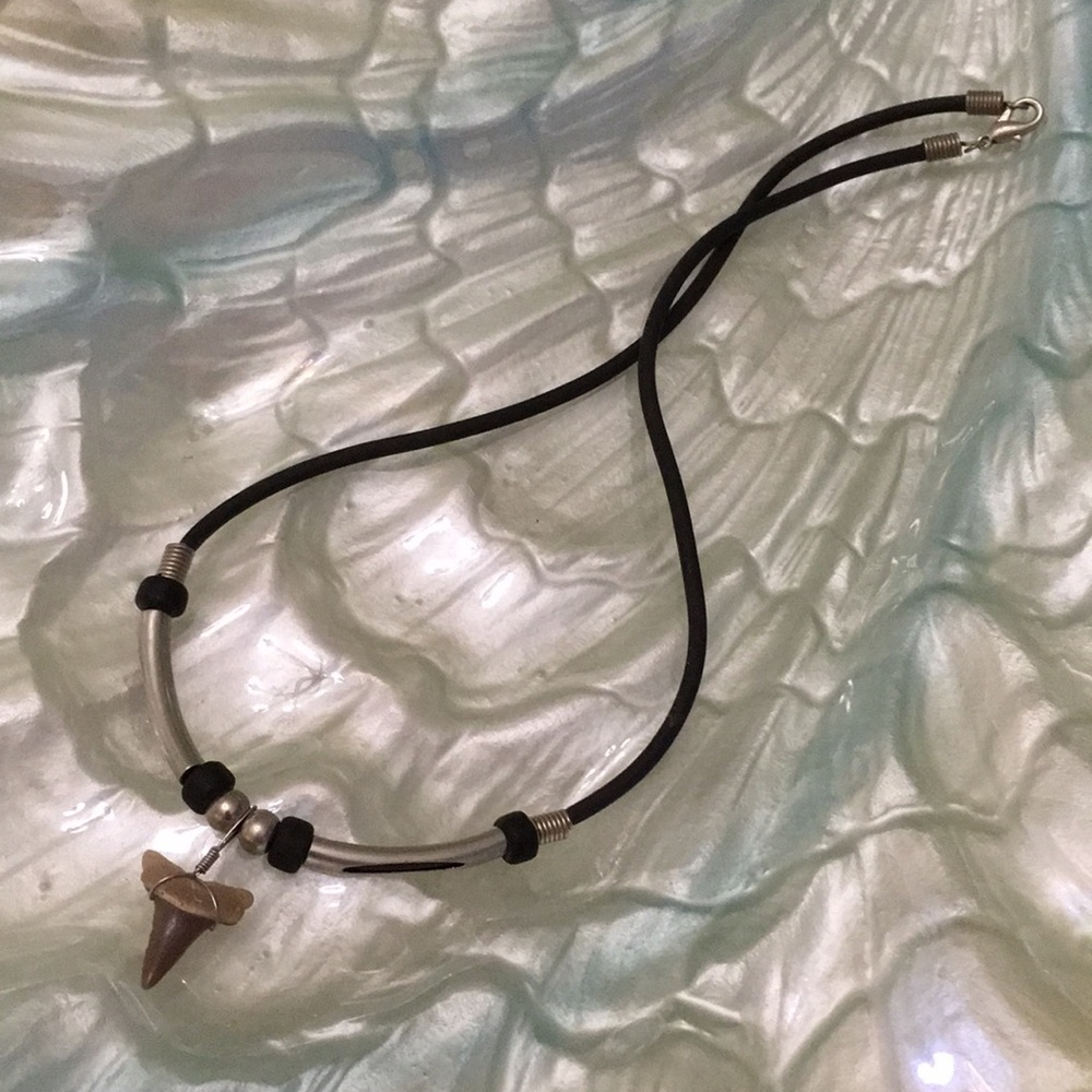 Shark Tooth Necklace